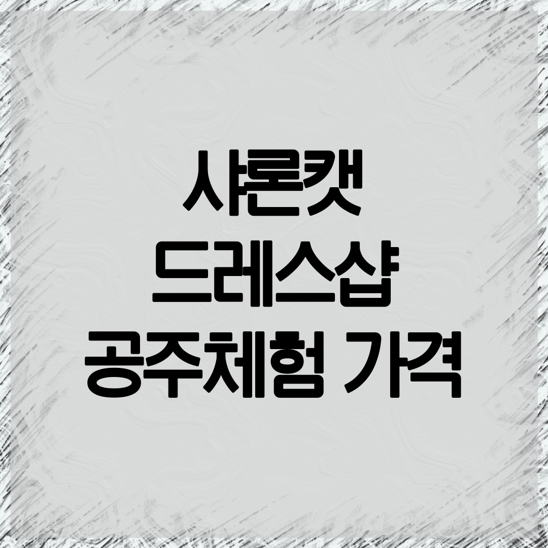 롯데월드 샤론캣 드레스샵 안내