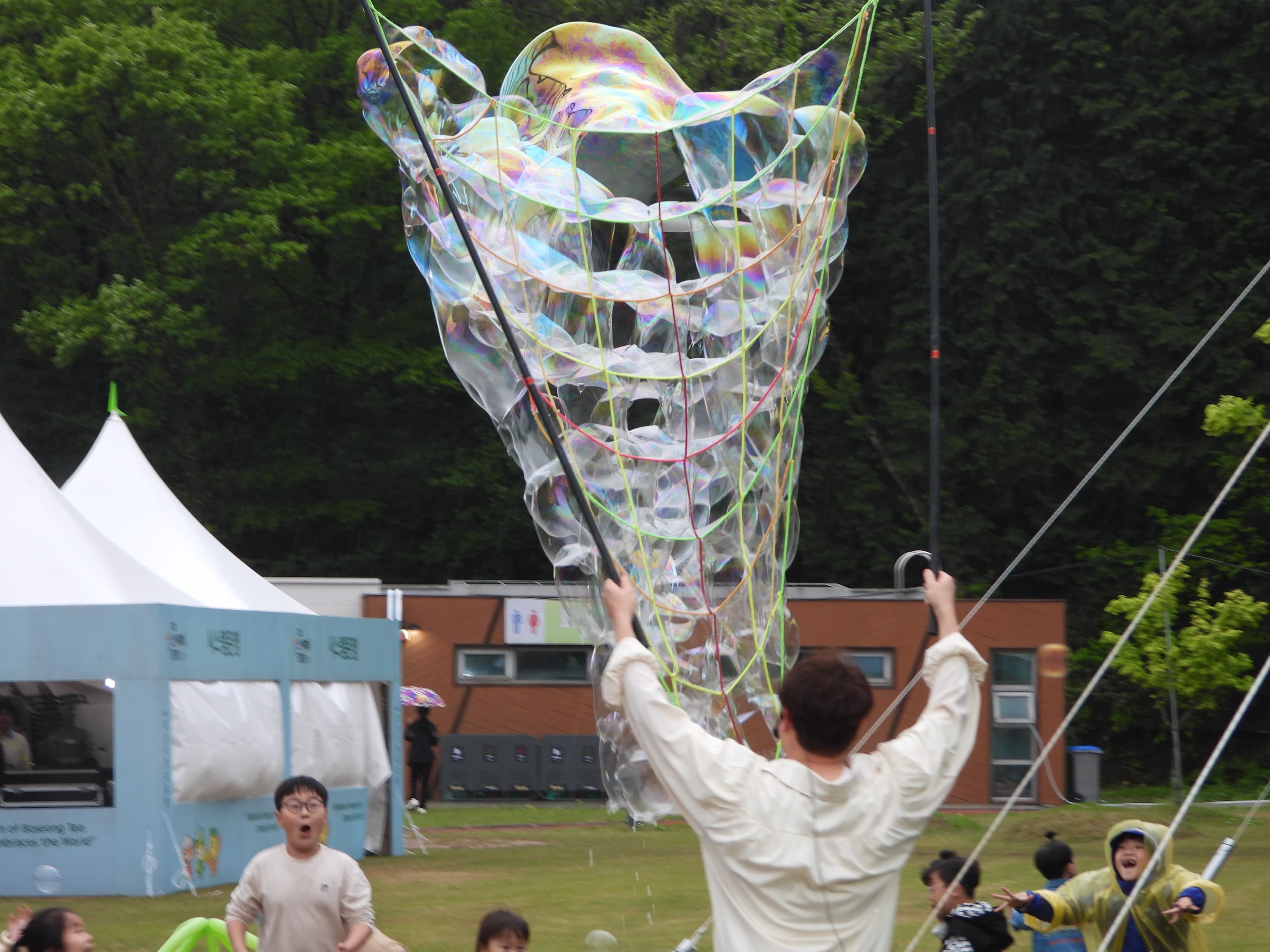 [5월 축제]2025 보성다향대축제❘기간, 일정, 프로그램 예약 방법, 추천코스, 셔틀 정보