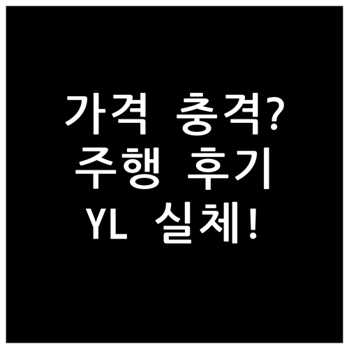 테슬라 모델 YL 가격 및 주행거리 ..