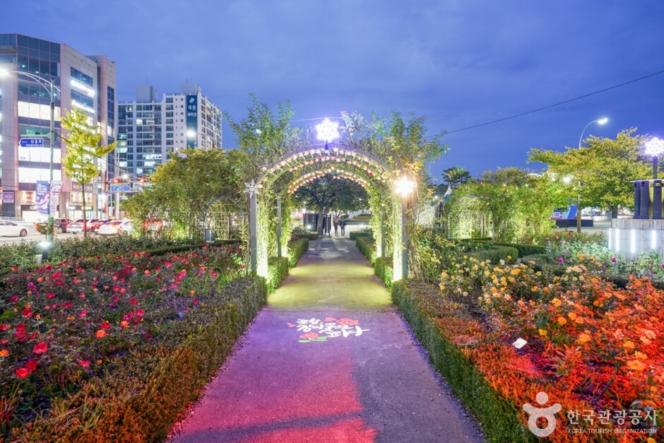 포항 영일대 장미원