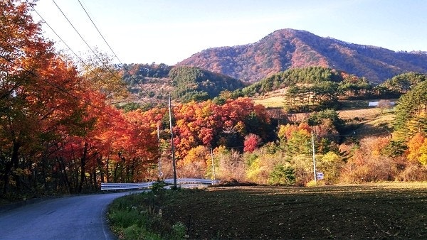 강원도 단풍명소 TOP7 ❘ 가족여행 추천 코스 & 절정시기 정리 관련 사진