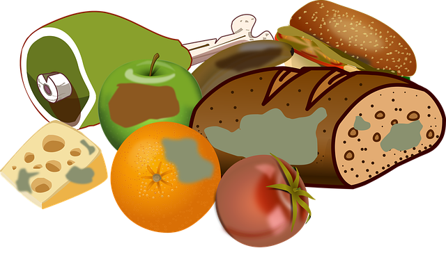 속초시 일반 생활 쓰레기, 음식물, 대형 폐기물, 폐가전제품 처리 방법