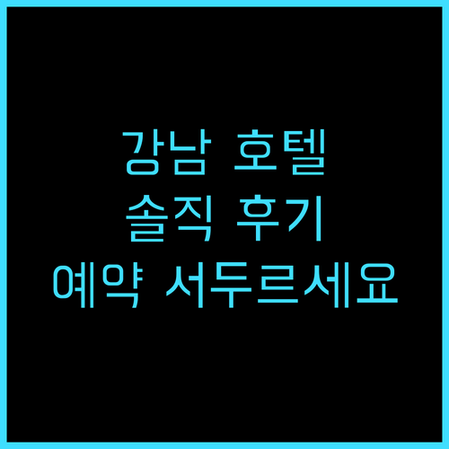 호텔 강남 스타 추천 후기! 강남역 ..