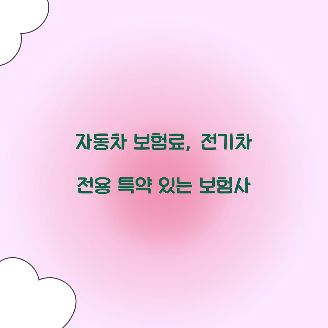 자동차 보험료, 전기차 전용 특약 있는 보험사