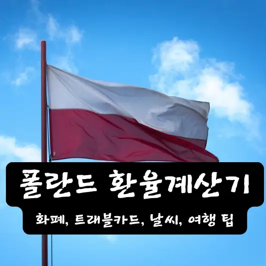 폴란드 환율 계산기 환전 방법