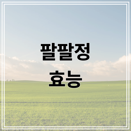 팔팔정 효능