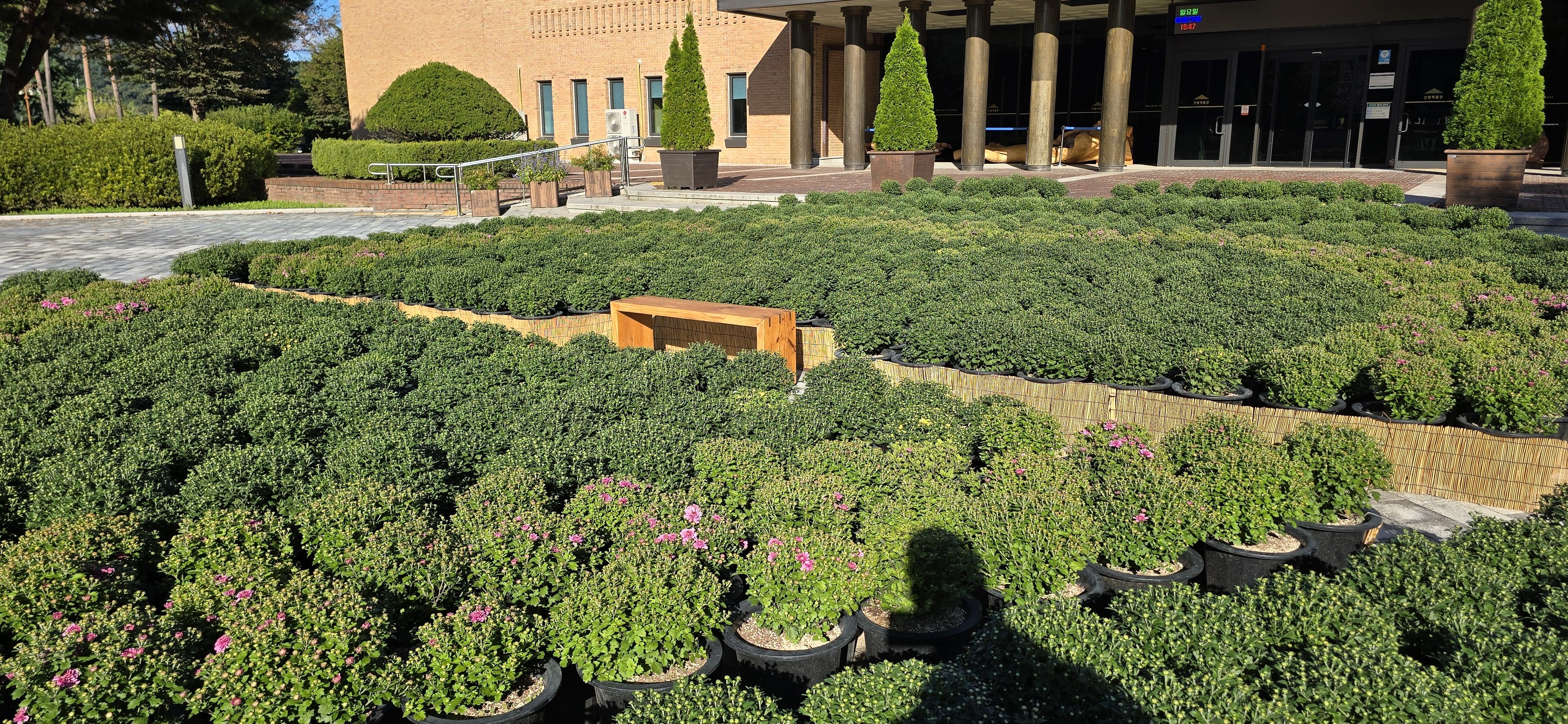 강원도립화목원