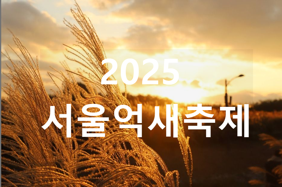 서울-억새축제-1