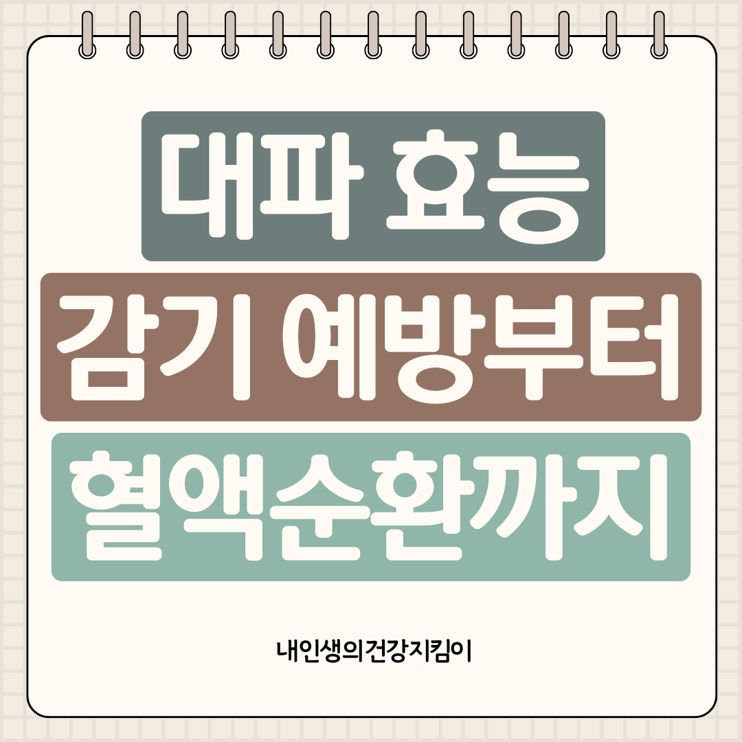 대파 효능 7가지, 감기 예방부터 혈액순환까지 한 번에 알아보기