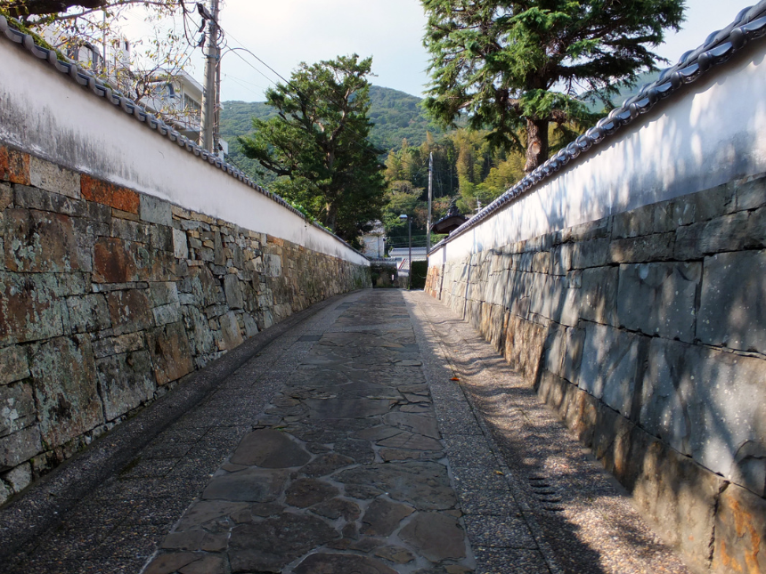 대마도 여행 가이드 2025 – 가깝지만 색다른 일본 섬 여행