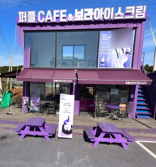 6시내고향 보라마을 퍼플섬 고구마찹쌀떡과 보라아이스크림 퍼플에이드 카페 전남 신안 퍼플브릿지카페