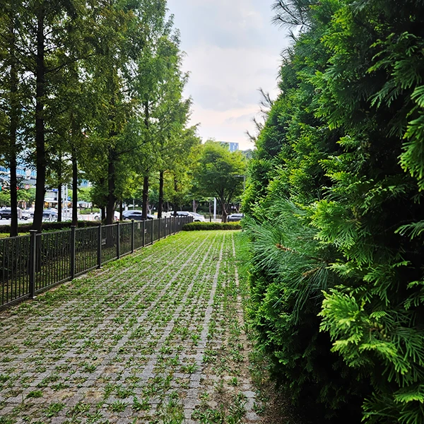 주택도시기금-활용