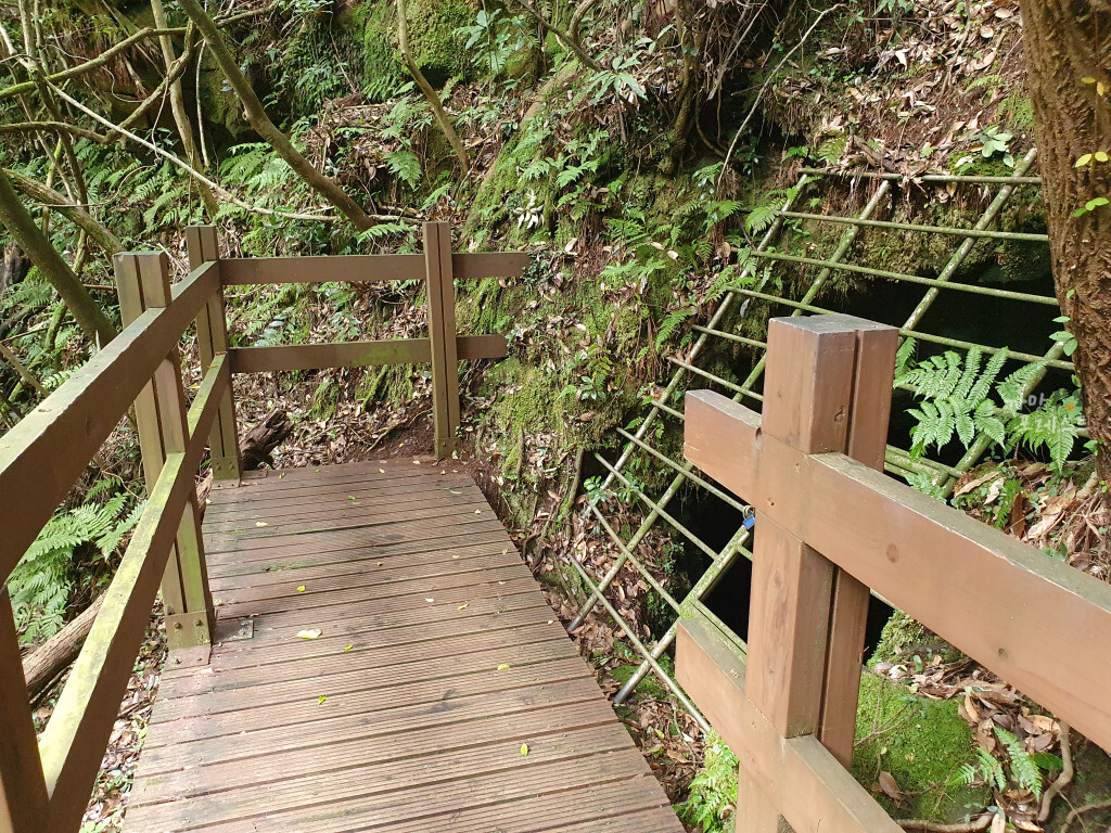 거문오름 수직동굴