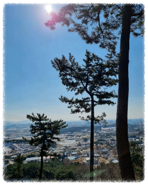부춘산