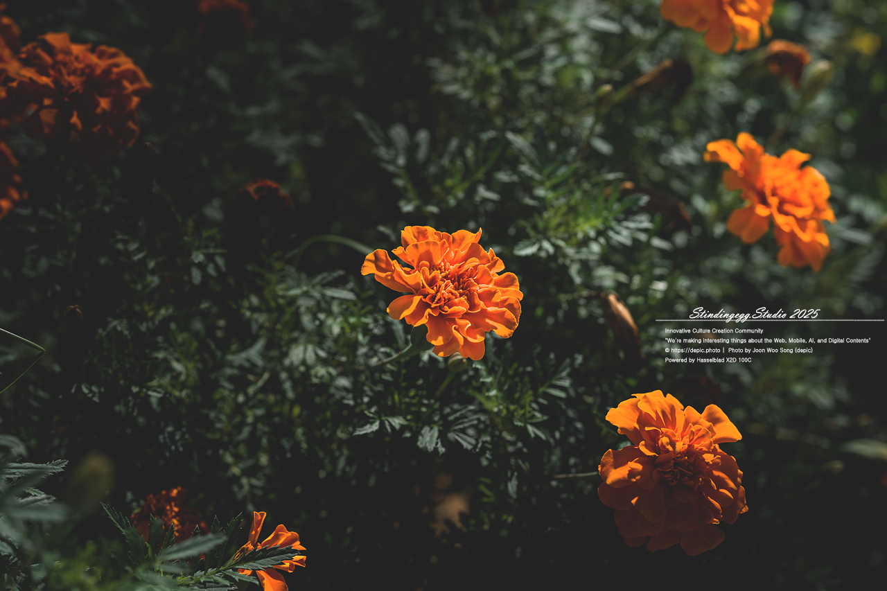 #청주 #오창 #구룡성당 #가톨릭