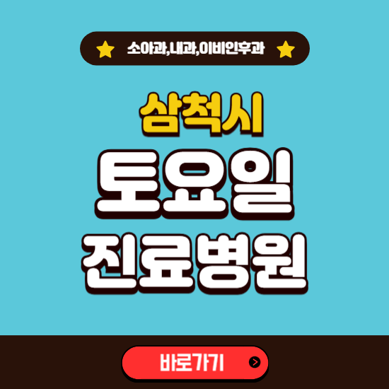 삼척시 토요일 진료 병원 찾기 ❘ 주말 문여는 소아과, 내과, 이비인후과 리스트