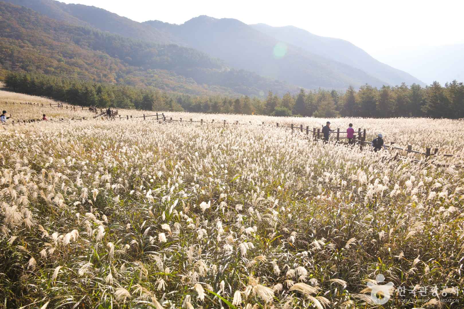 울산 간월재 등산 시간