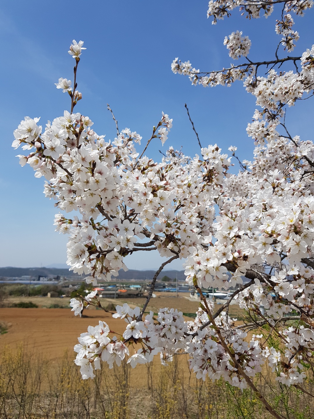 팔리는집과 안팔리는집의 특징