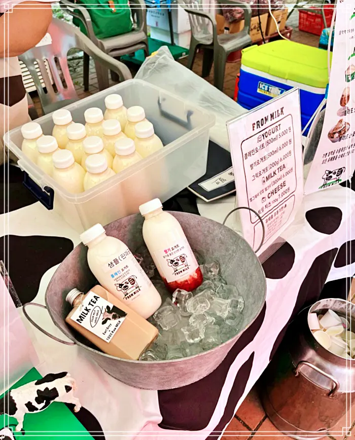 생방송 투데이 가평 터미널 칠학골 수흥목장, 새벽 원유로 만든 수제 유제품, 밀크 카페, 디저트 맛집