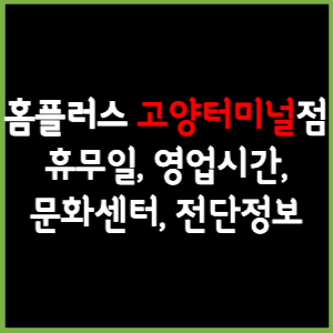 홈플러스 고양터미널점 휴무일, 영업시간, 전단, 할인이벤트, 주차, 층별안내, 문화센터 총 정리