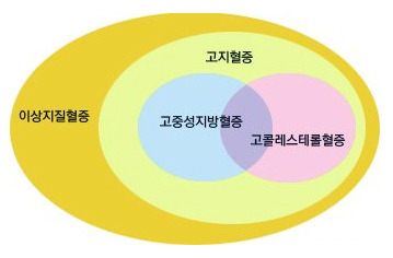 이상지질혈증, 고지혈증, 고중성지방혈증, 고콜레스테롤혈증의 관계를 설명해주는 도표