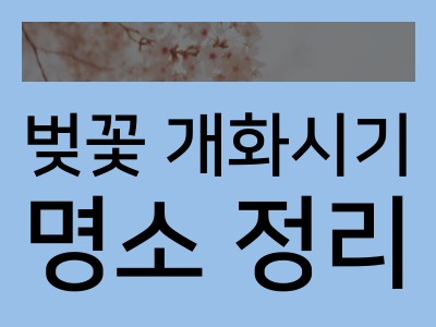 벚꽃