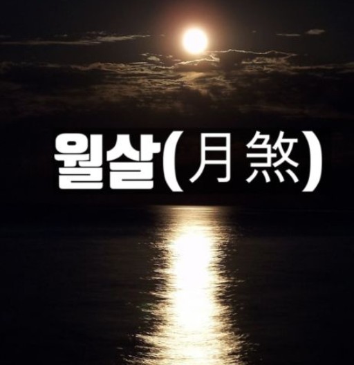 월살 관련 사진