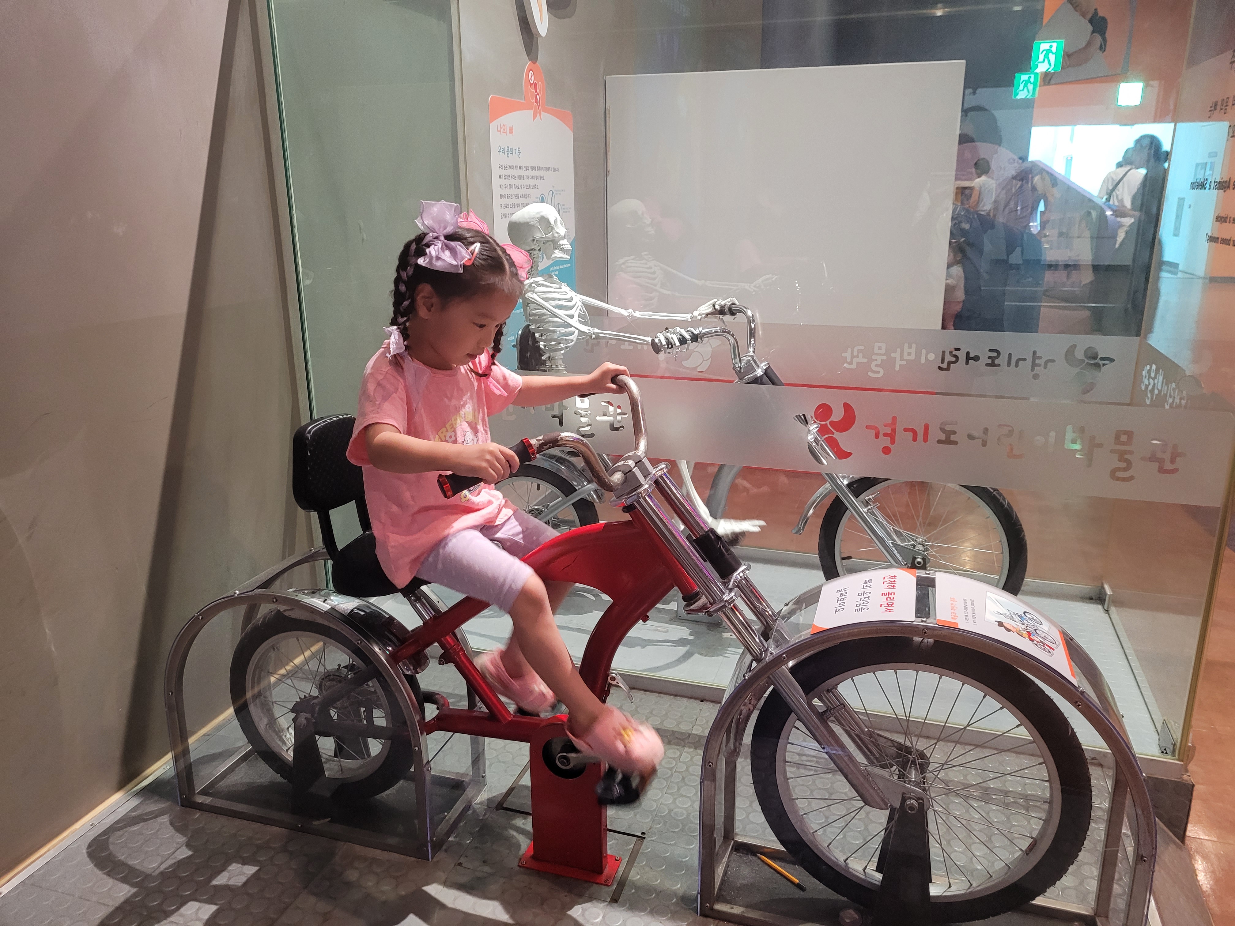 우리 몸은 어떻게? 뼈 움직임