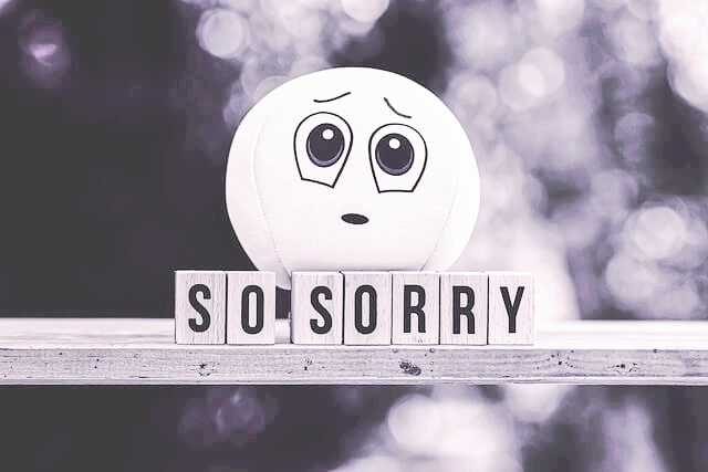 사과의 심리학: 진심 어린 사과와 형식적인 사과의 차이