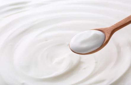 그릭 요거트 효능