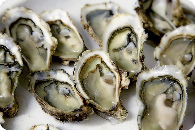 굴의 영양 성분