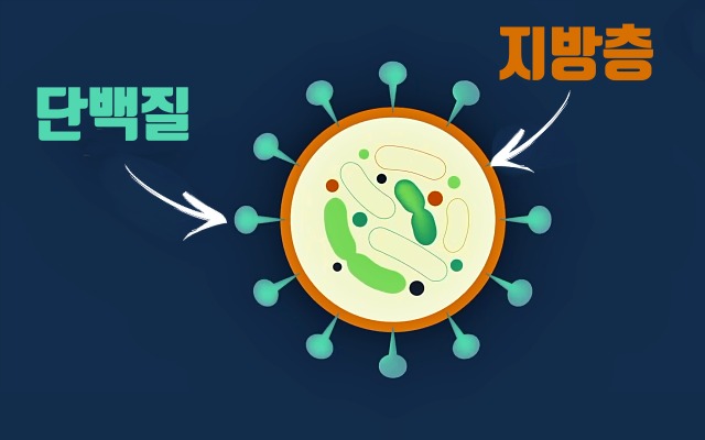 손소독제 코로나 비누,팁줌