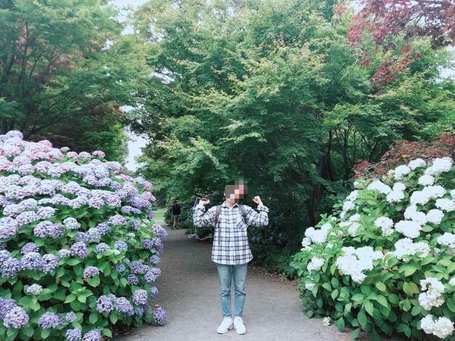크라이스트처치 보타닉가든 꽃