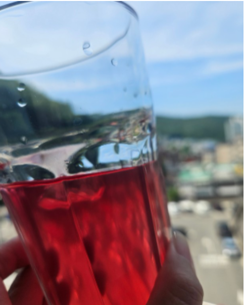 뷰티인핏 내돈내산 후기