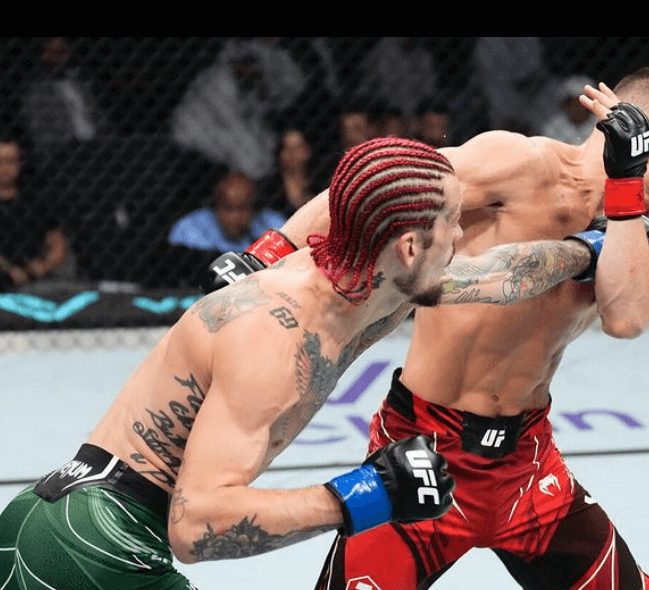 ufc 299 오말리