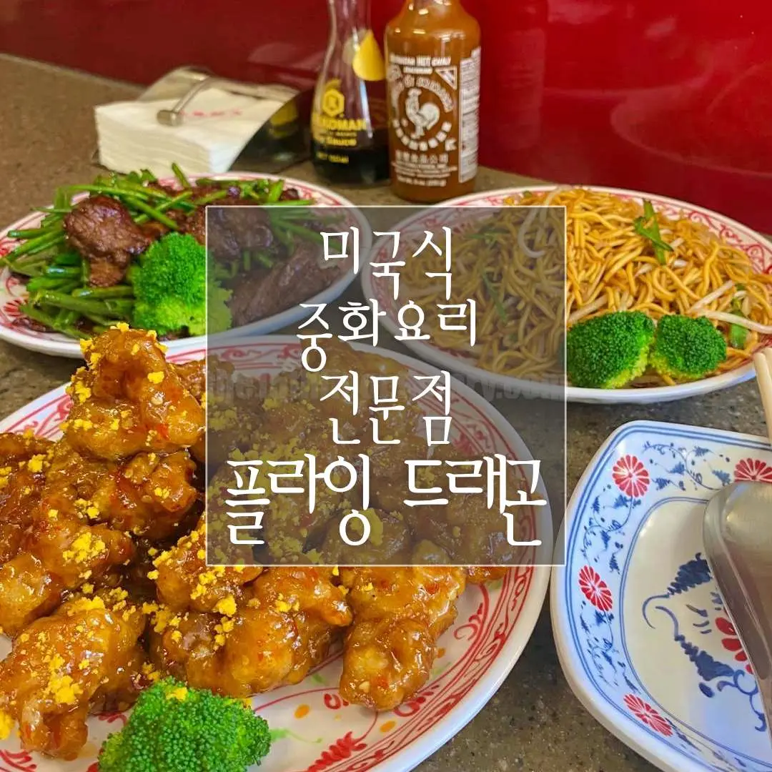 부산 수영구 '플라잉 드래곤'