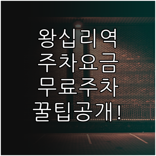 왕십리역 주차장 요금과 비트플렉스 무..