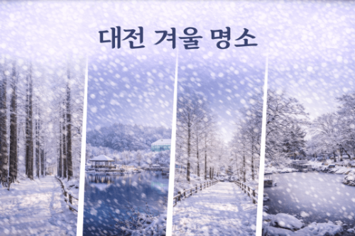 대전 겨울 여행 명소, 장태산자연휴양림·한밭수목원·보문산행복숲길·유림공원