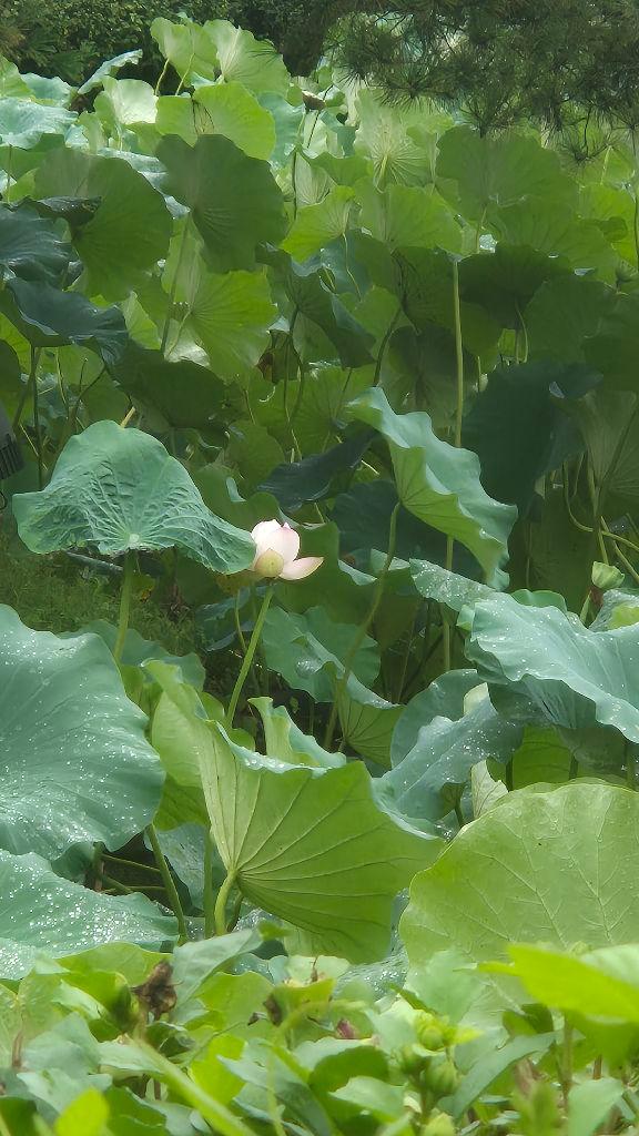 강릉 가볼만한 곳 BEST 10