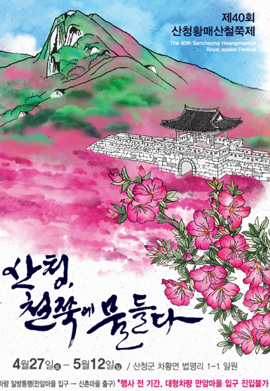 황매산철쭉축제