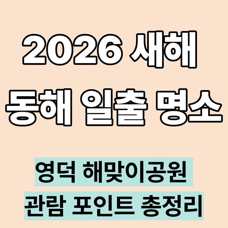 2026 새해 동해 일출 명소|영덕 해맞이공원 관람 포인트 총정리