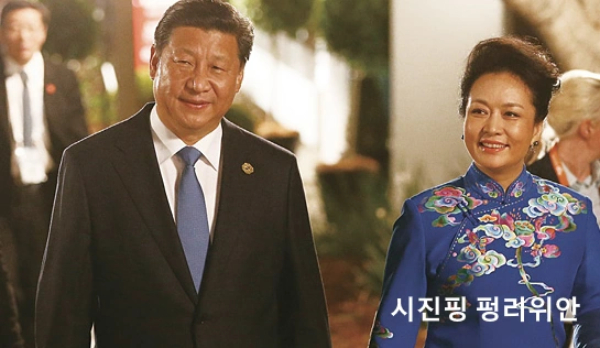 시진핑 펑리위안