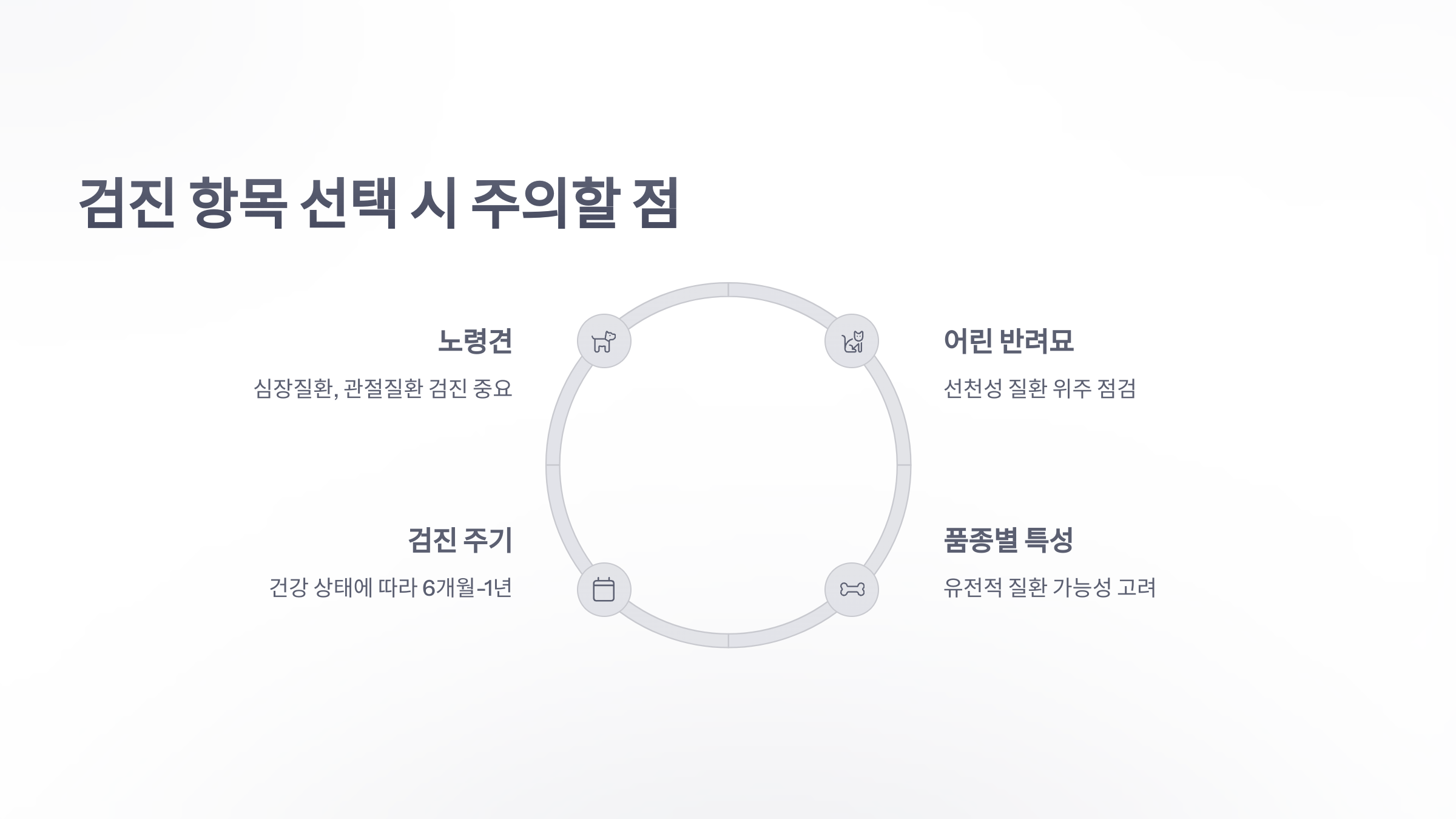 참조-맞춤형-검진,-동물병원-4