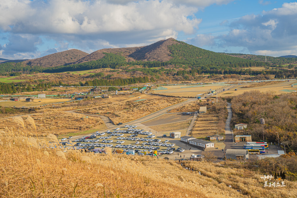 제주 새별오름 풍경