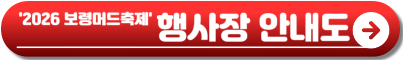 2026 보령머드축제