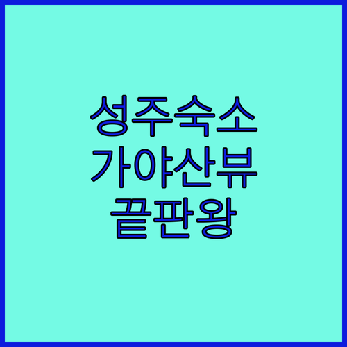 성주 숙소 추천 가야산 뷰 가야호텔부..