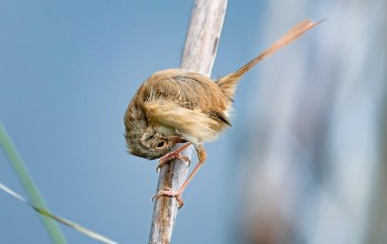 토지대장 무료열람 방법 9