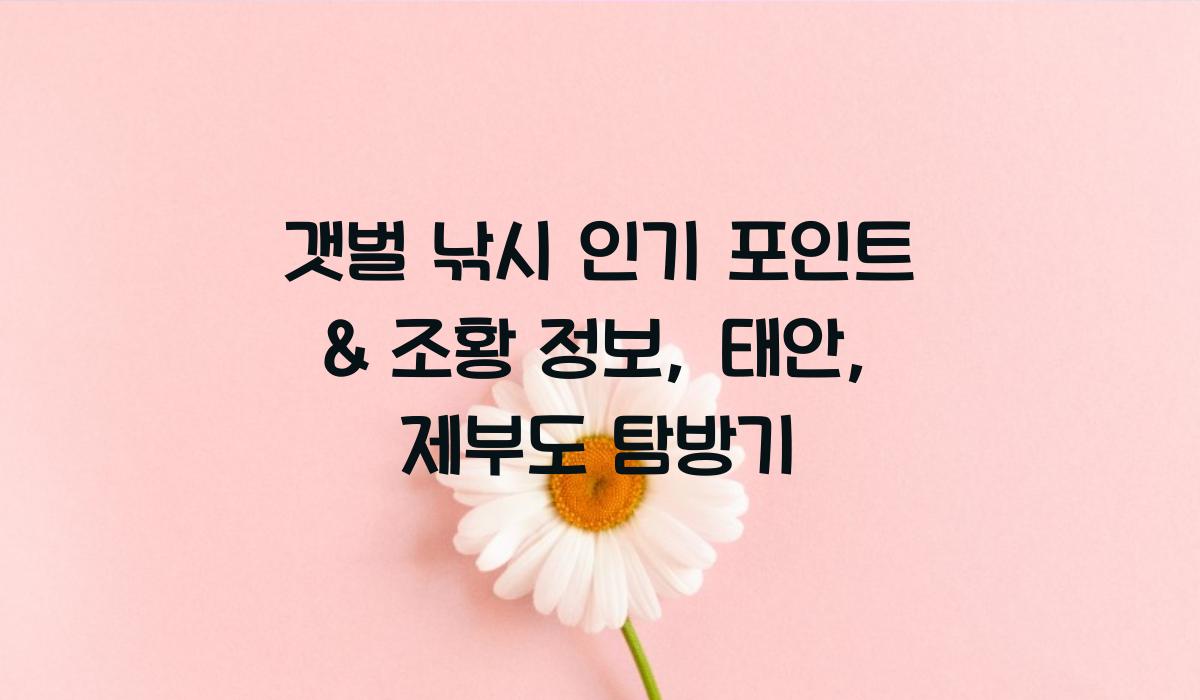 갯벌 낚시 인기 포인트