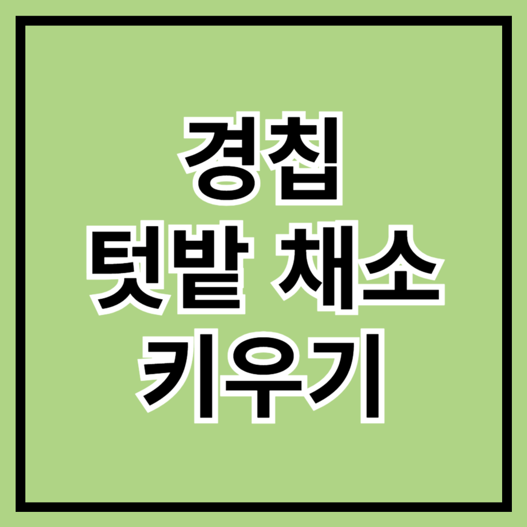 경칩에 심기 좋은 텃밭 채소 추천! 지금 시작하는 봄 농사