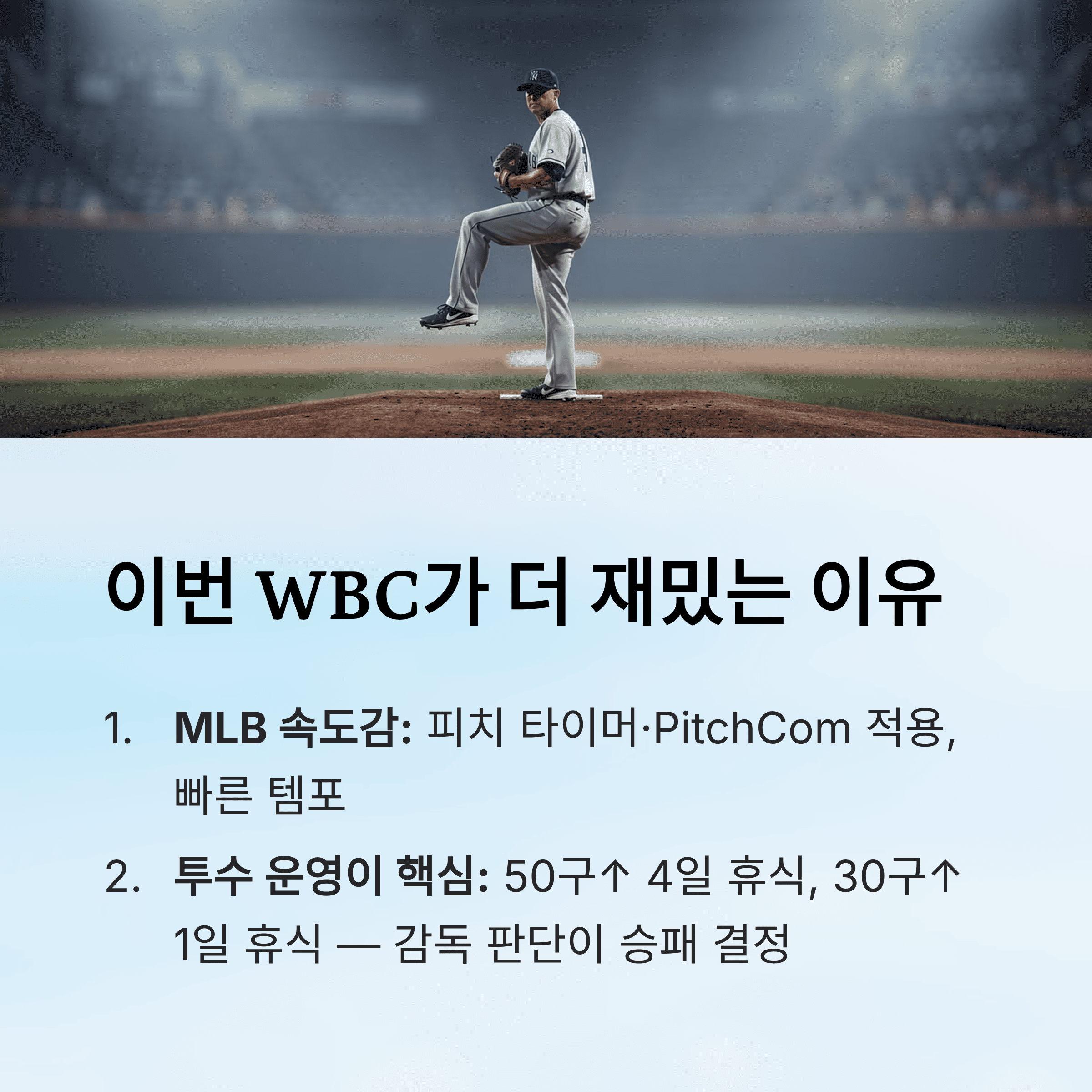 WBC 야구, 지금 왜 이렇게 뜨거운지 한 번에 정리